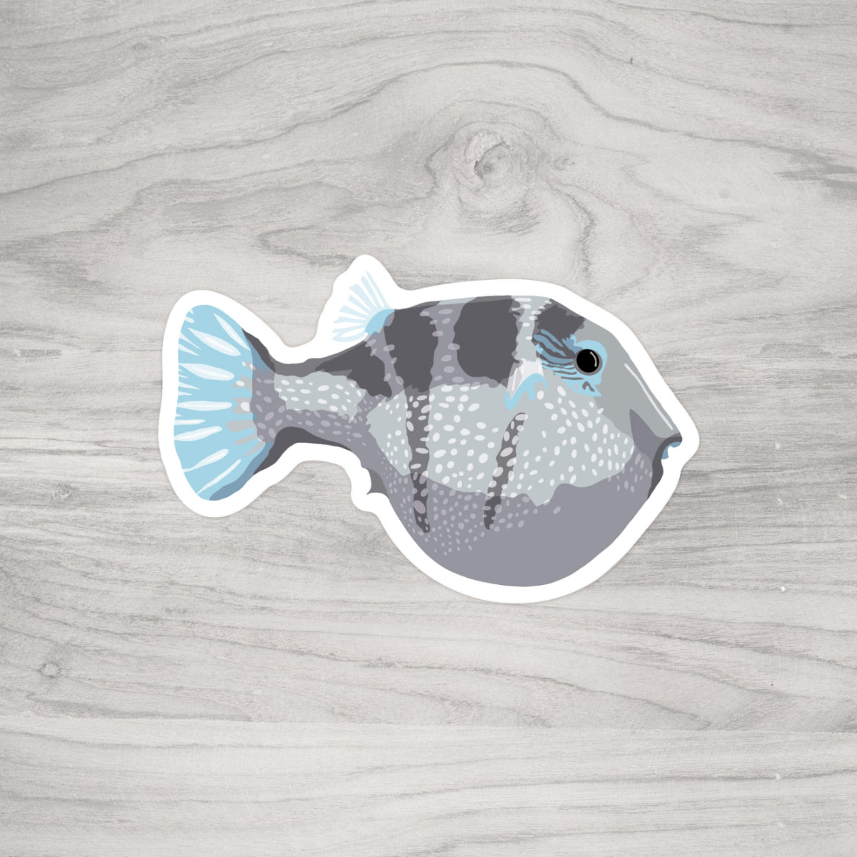 Baby Blue Pufferfish Sticker