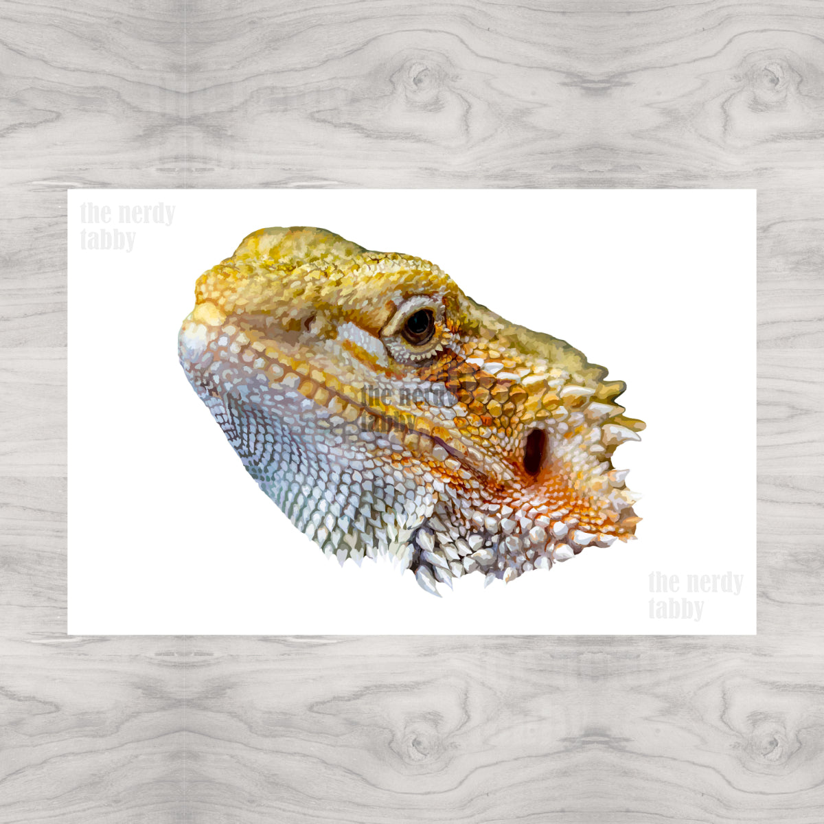Bearded Dragon Portrait