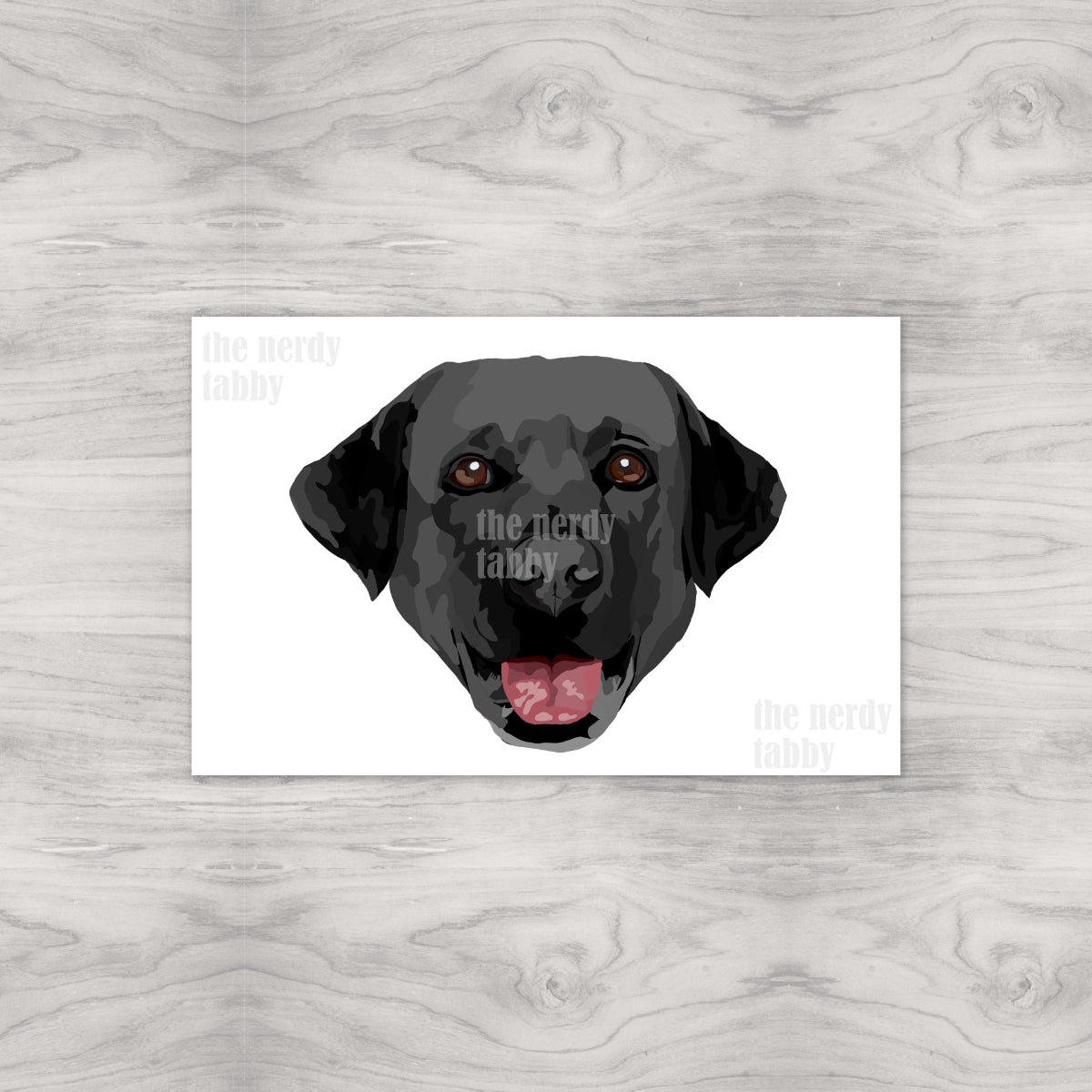 Black Lab Portrait