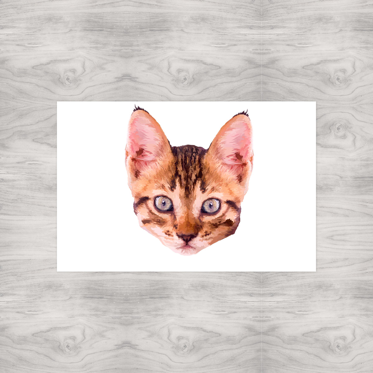 Brown Bengal Cat Portrait