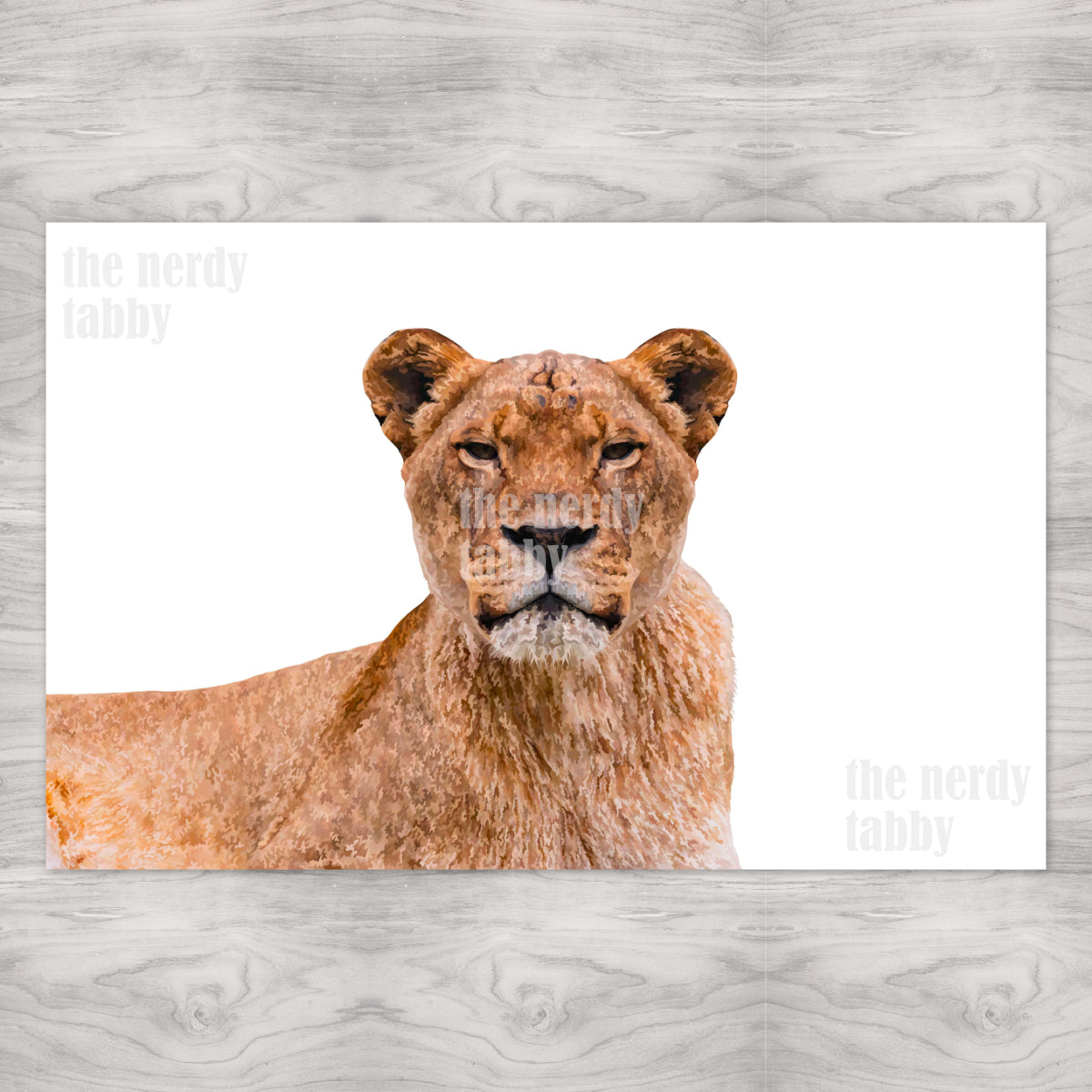 Lioness Portrait