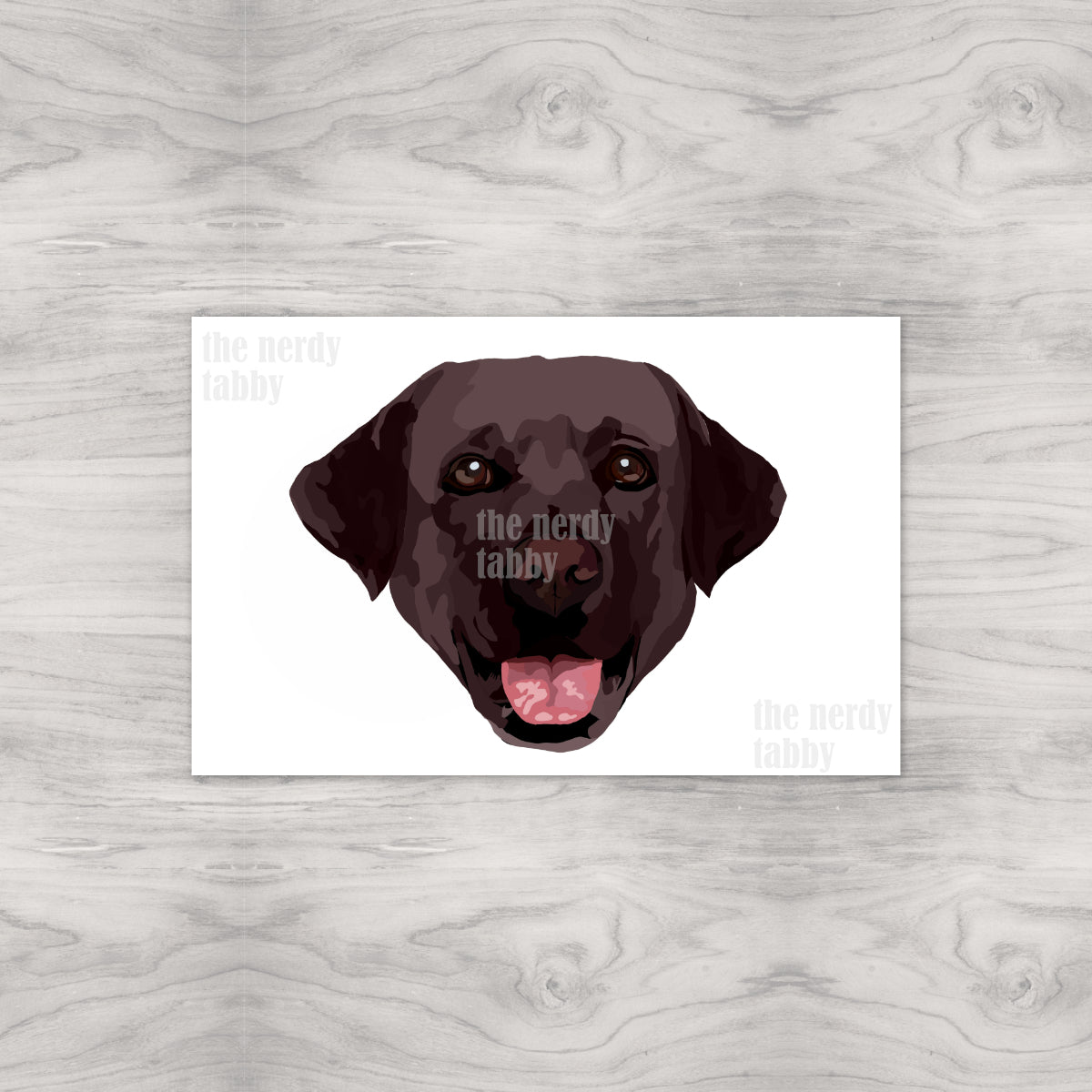 Chocolate Lab Portrait