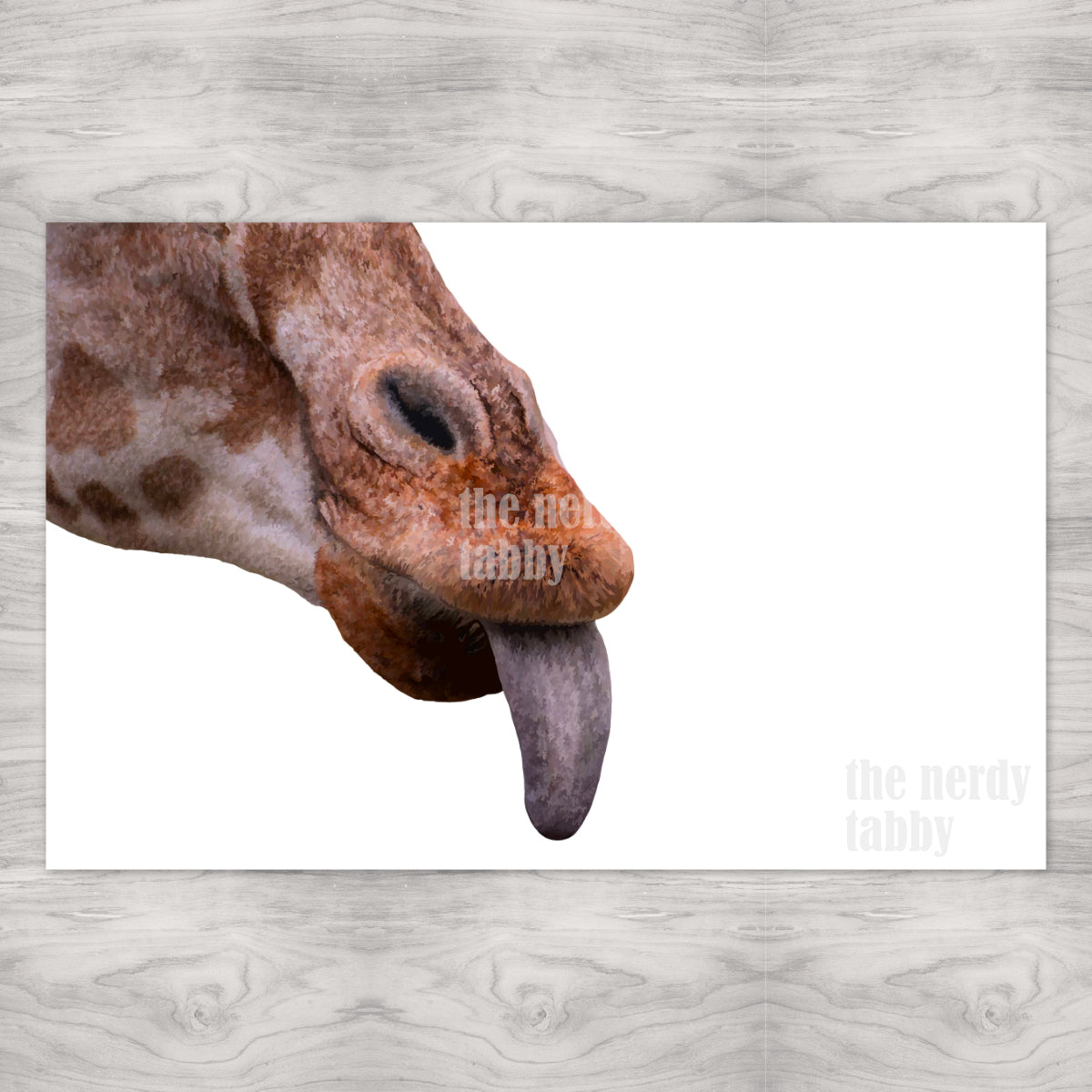 Giraffe Portrait