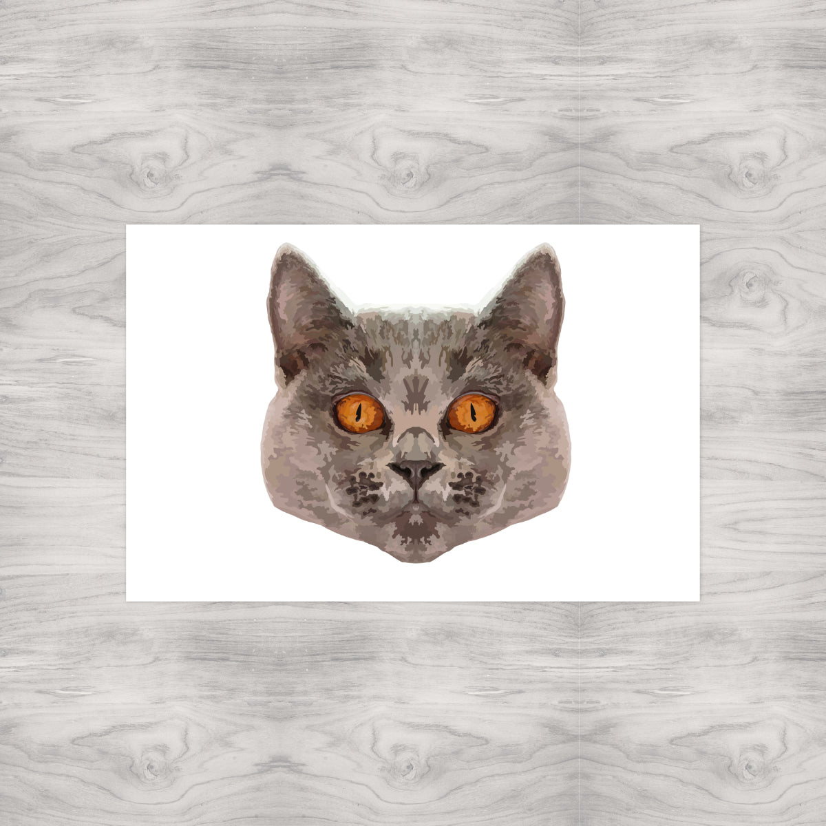 Grey Cat Portrait
