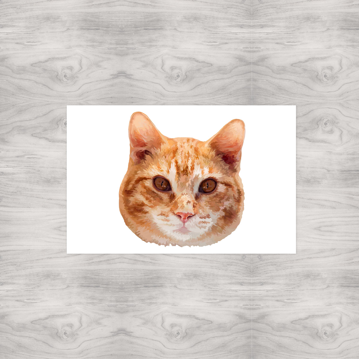 Orange Tabby Cat Portrait