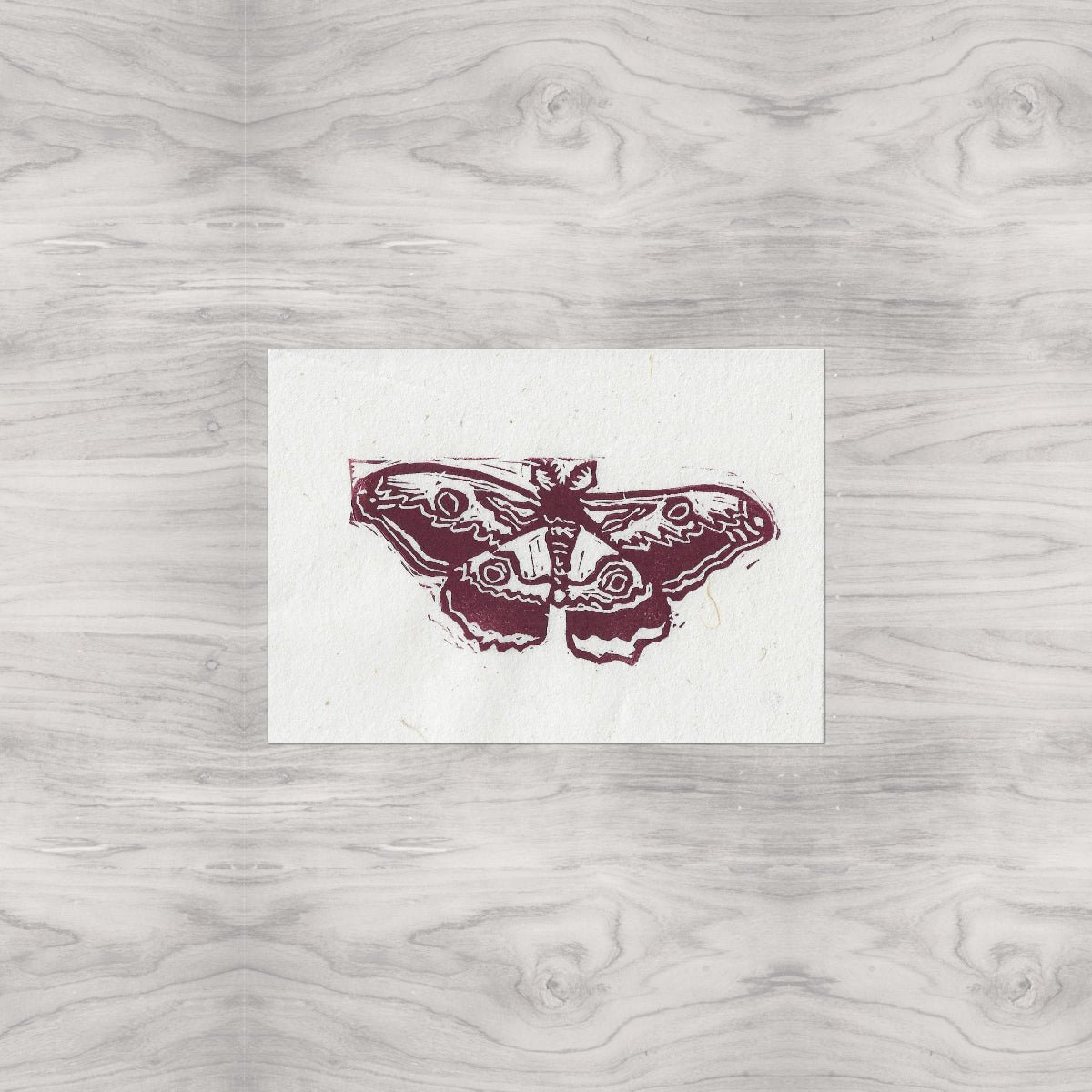 Moth Linocut Print Version 1