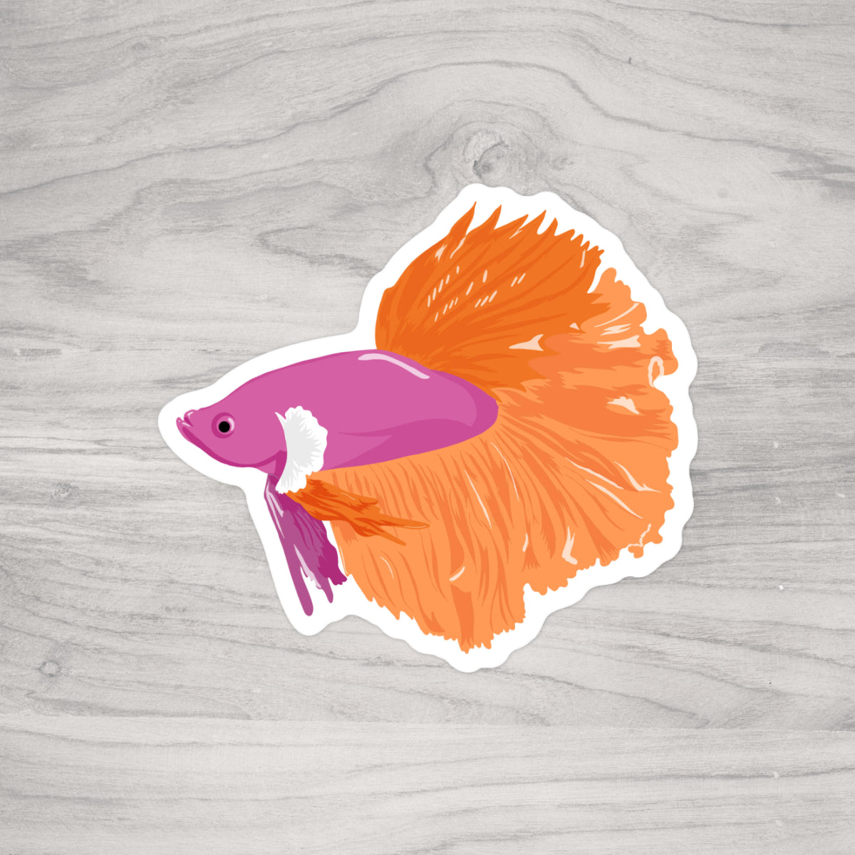 Sunset Beta Fish Sticker