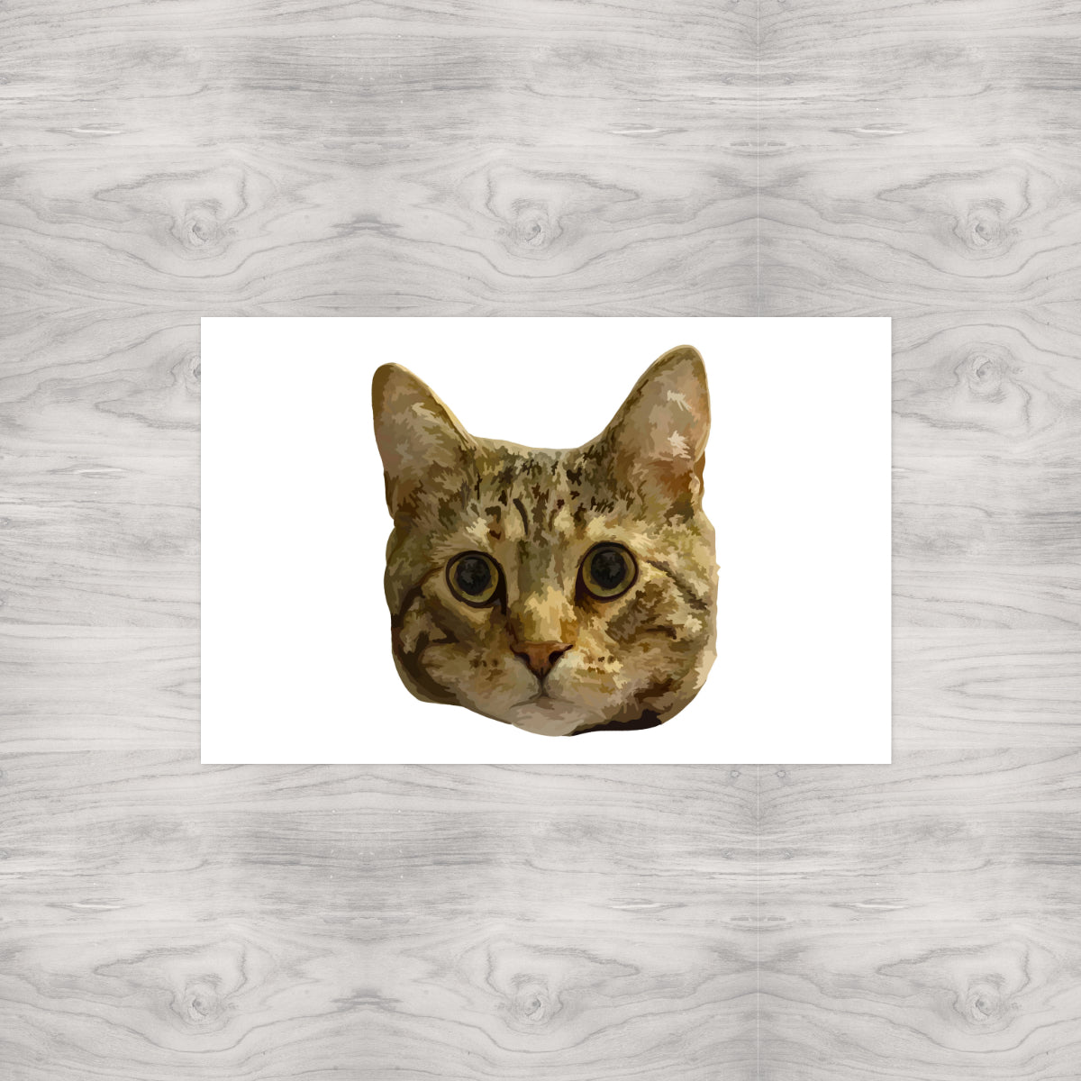 Tabby Cat Portrait