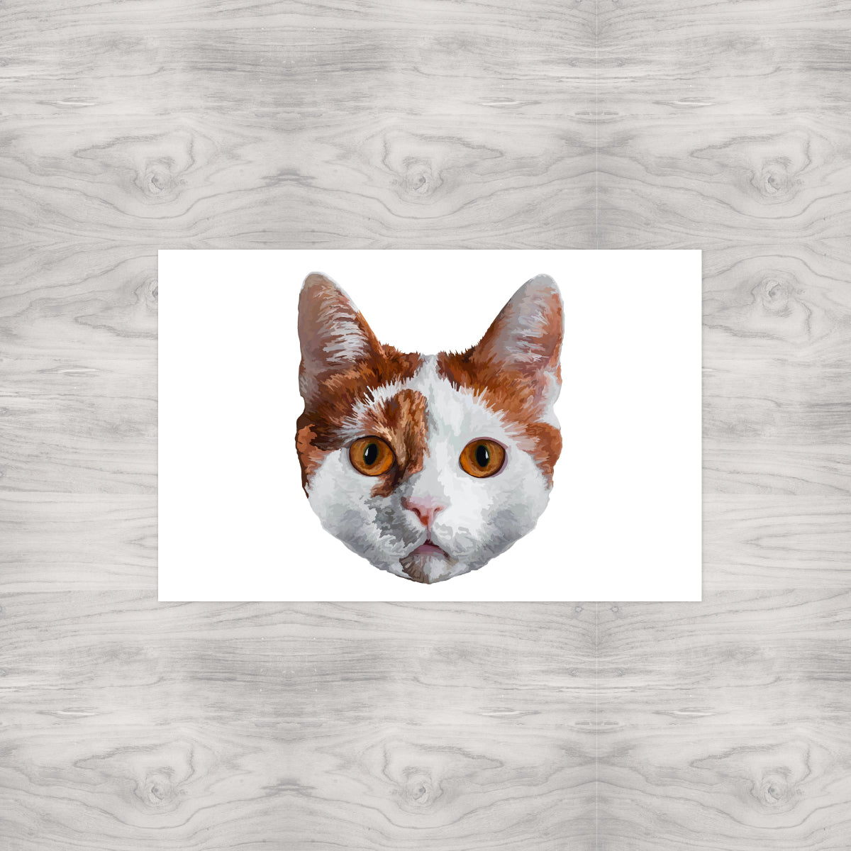 White and Orange Cat Portrait