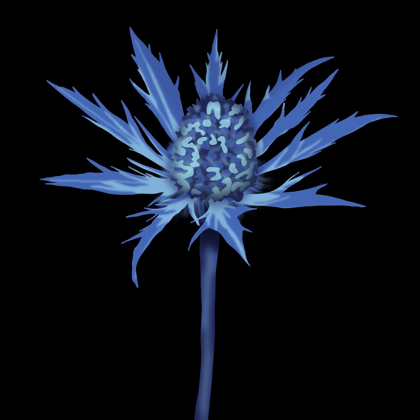 Neptune's Beard Print