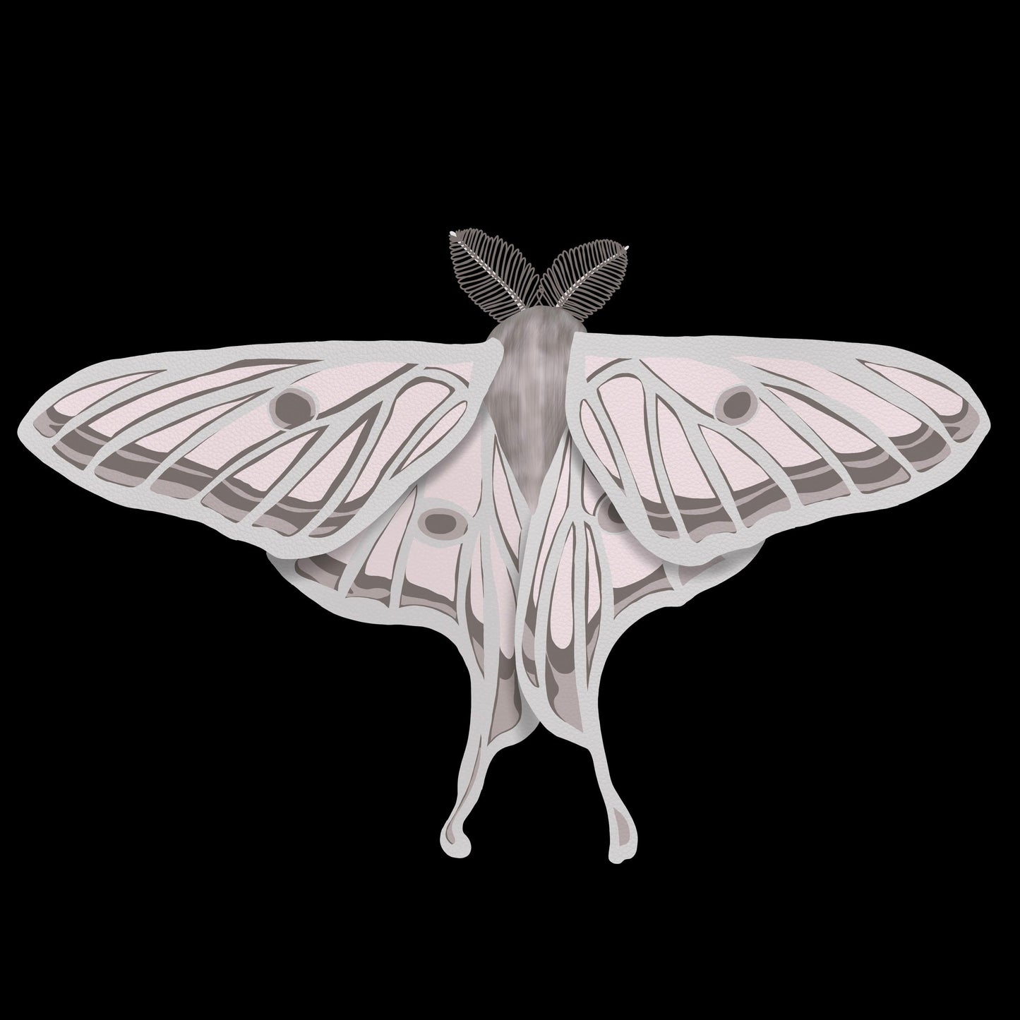 Spanish Lunar Moth Print