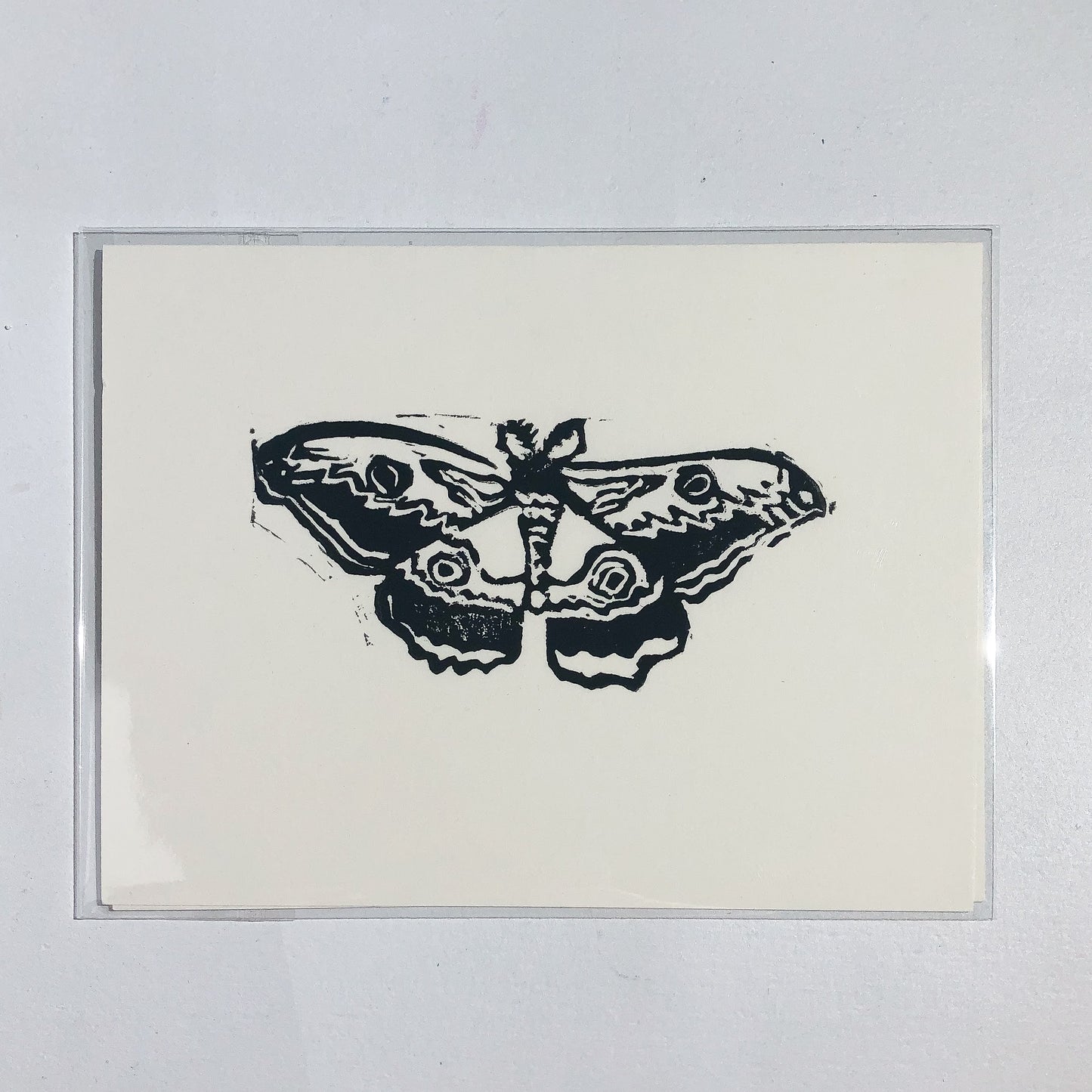 Black Moth Greeting Card