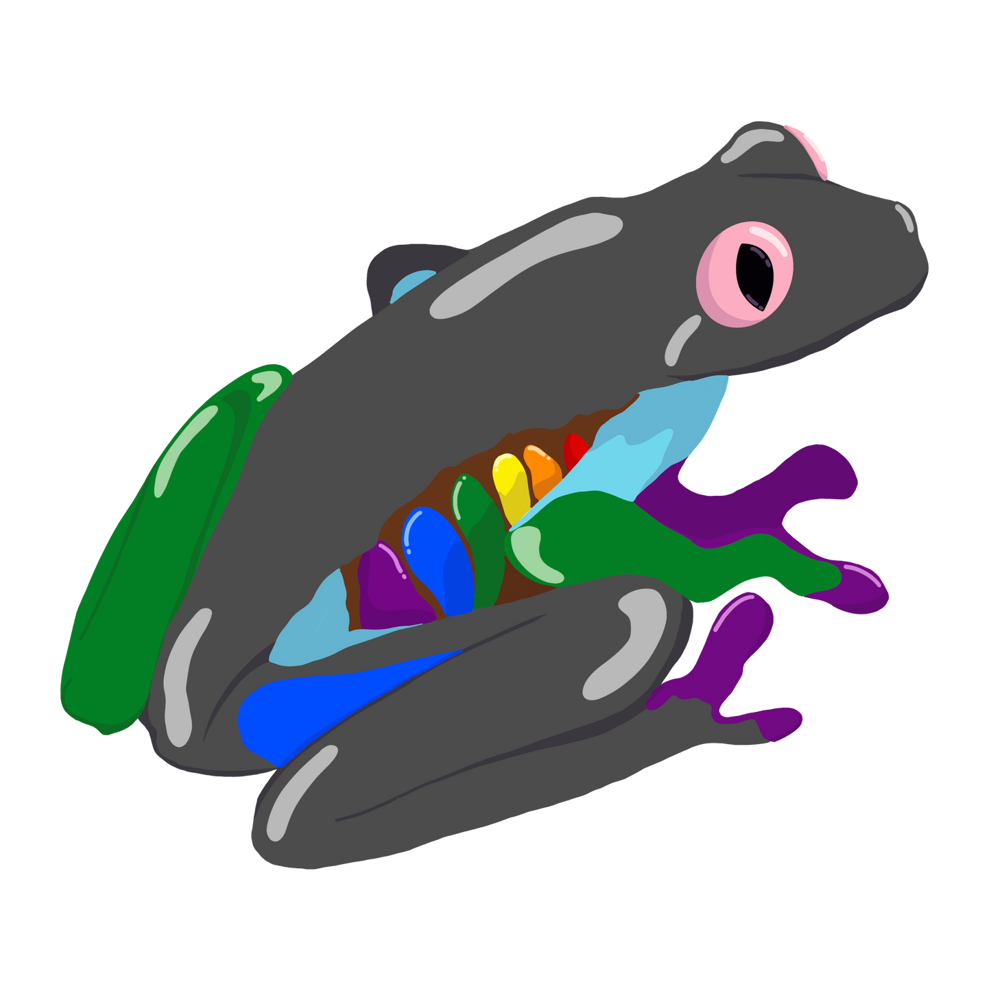 Color Spectrum Frog Acrylic Pin