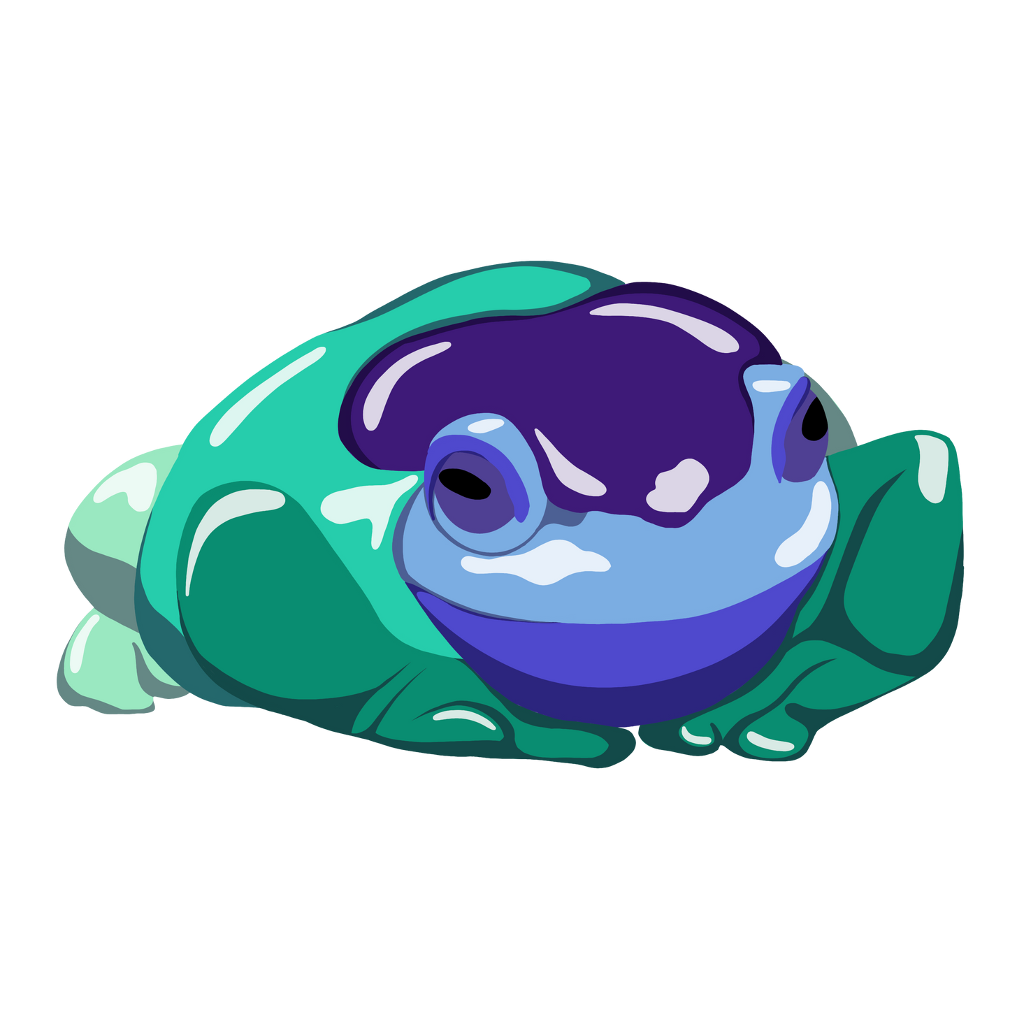 Sea Sky Frog Acrylic Pin