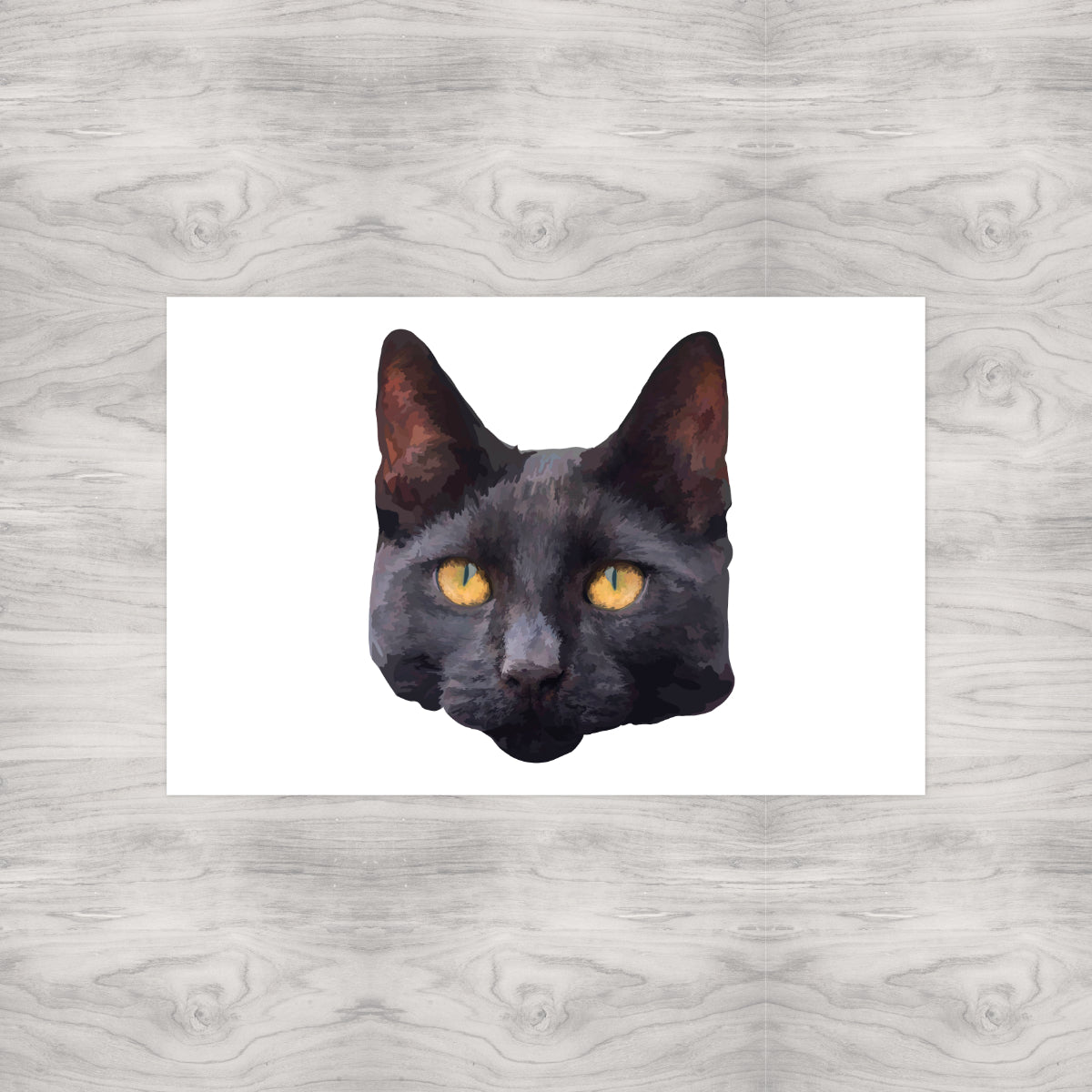 Black Cat Portrait