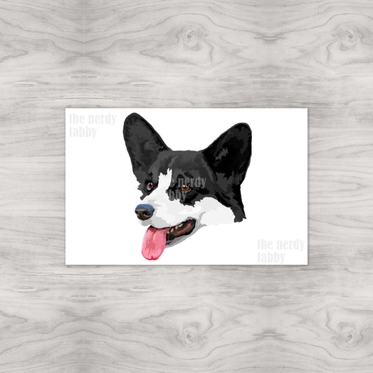 Black and White Corgi Portrait