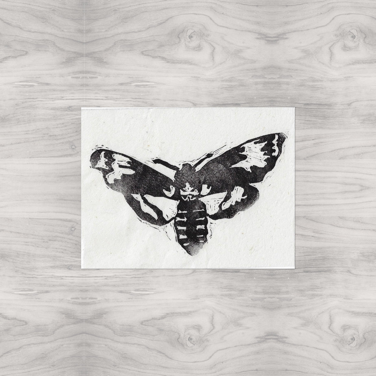 Moth Linocut Print Version 2