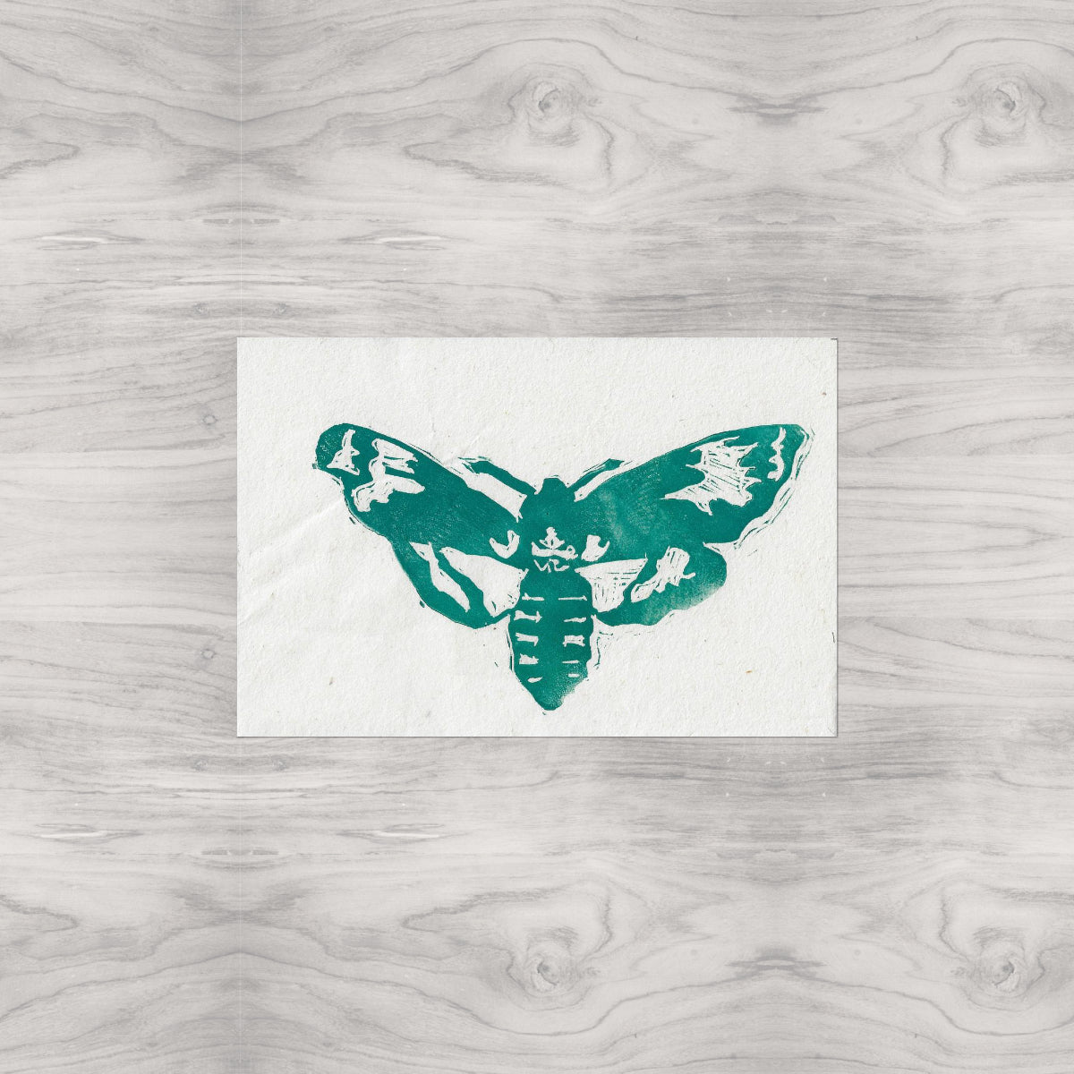 Moth Linocut Print Version 2
