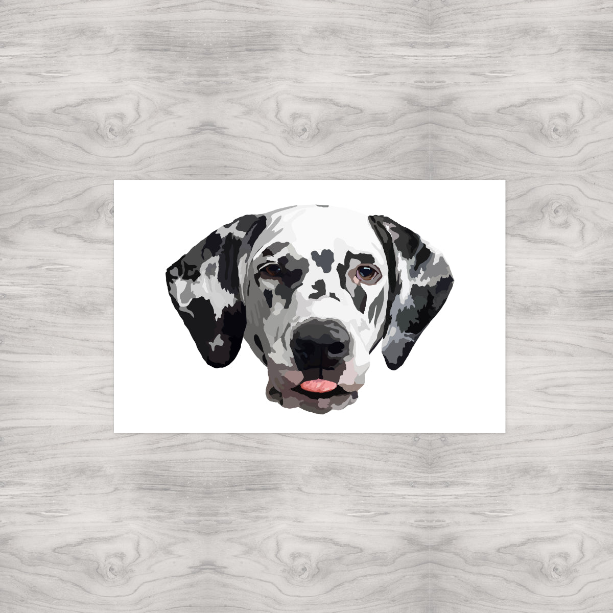 Dalmatian Portrait