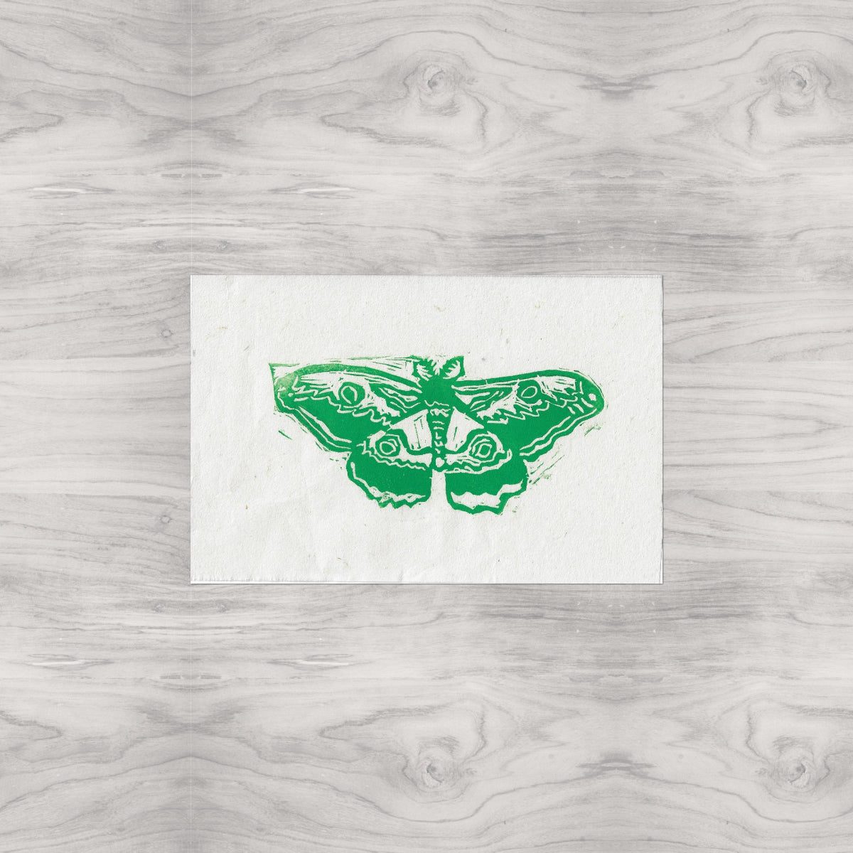 Moth Linocut Print Version 1