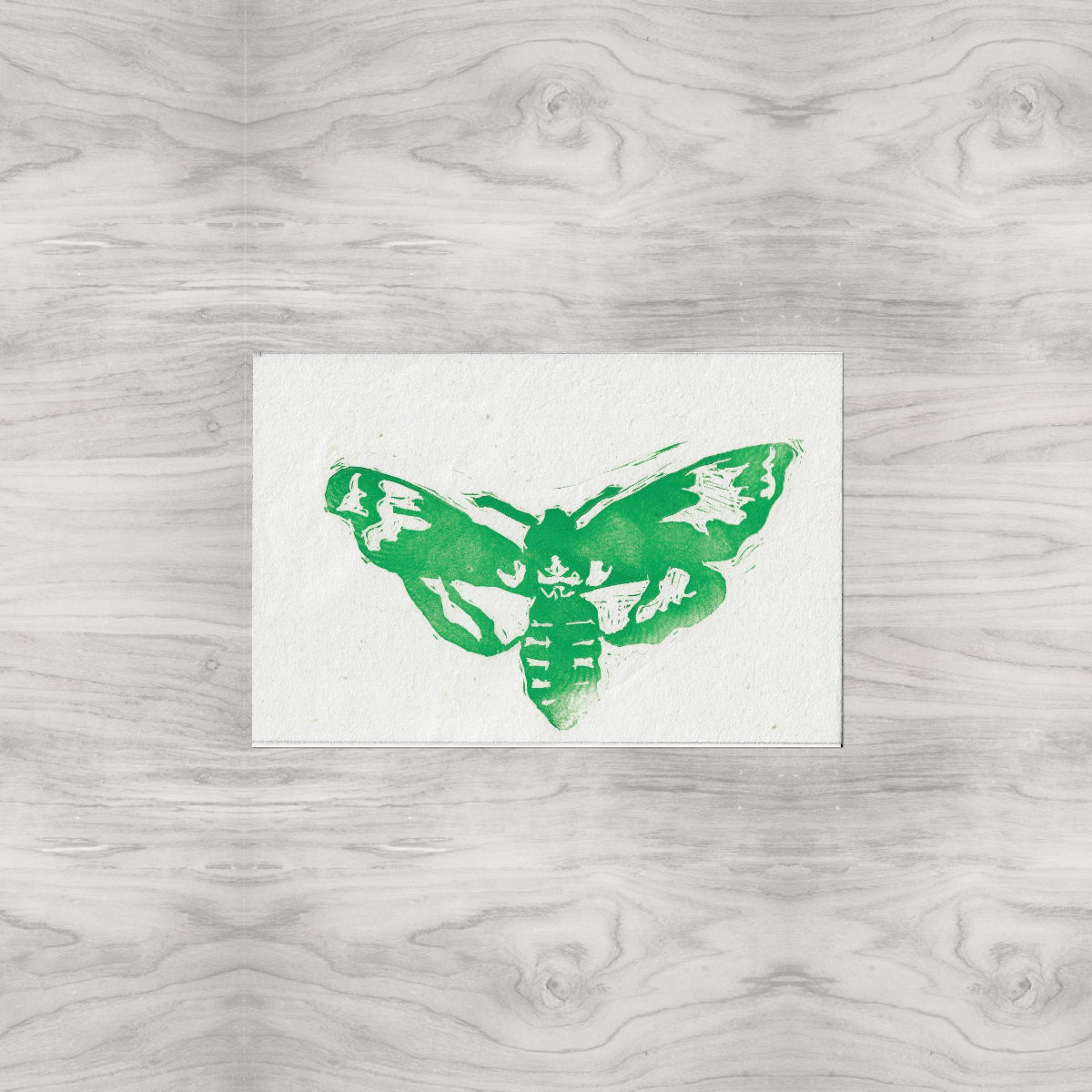 Moth Linocut Print Version 2