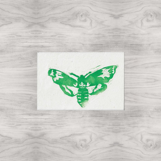 Moth Linocut Print Version 2