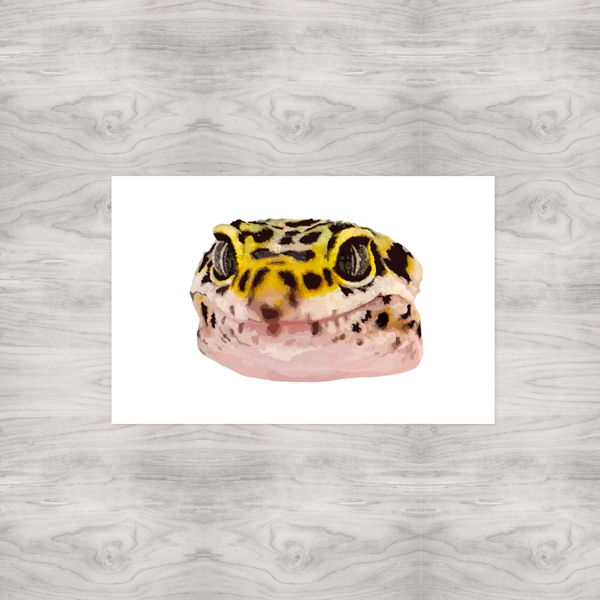 Leopard Gecko Portrait