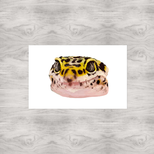 Leopard Gecko Portrait