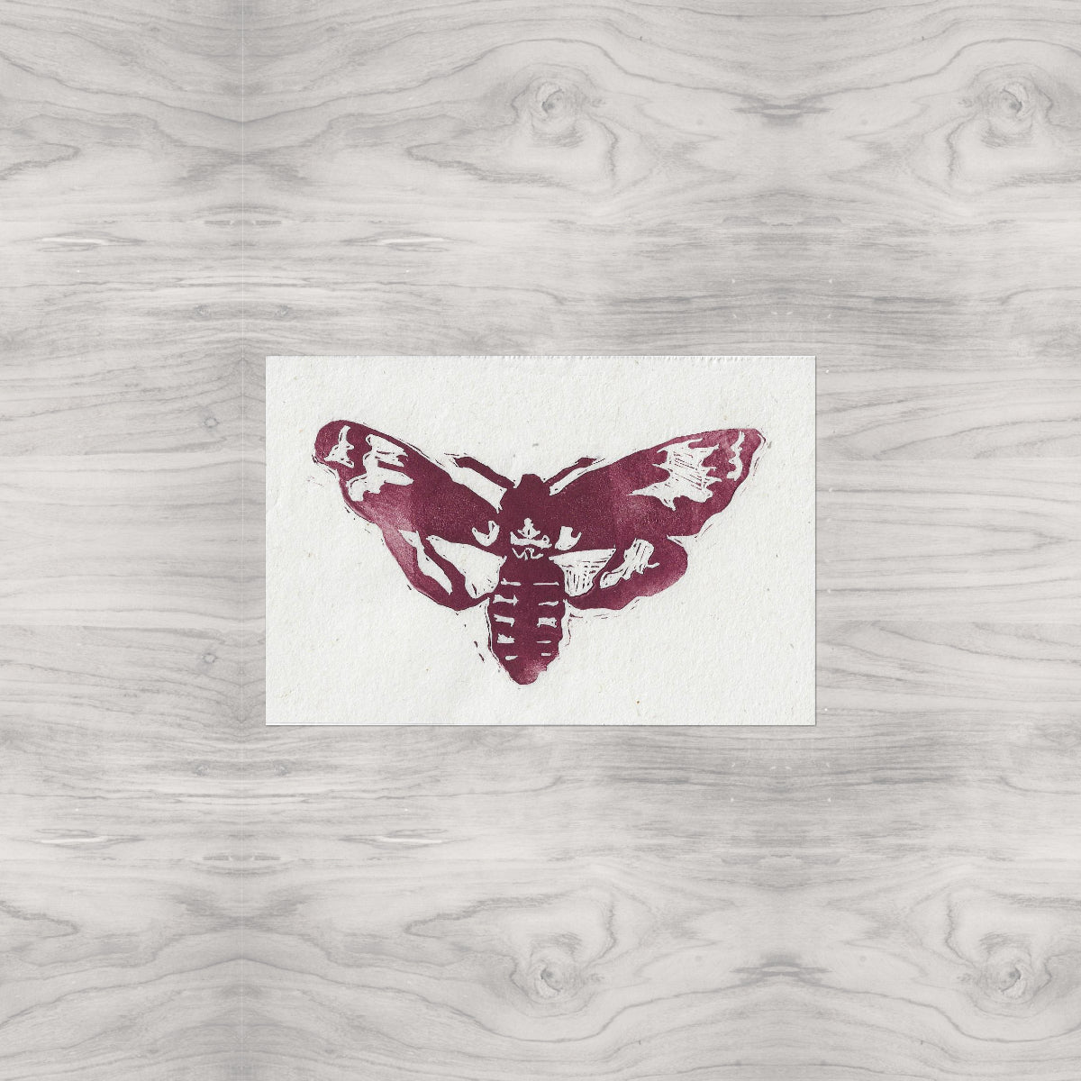 Moth Linocut Print Version 2
