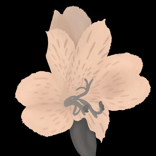 Lily Print
