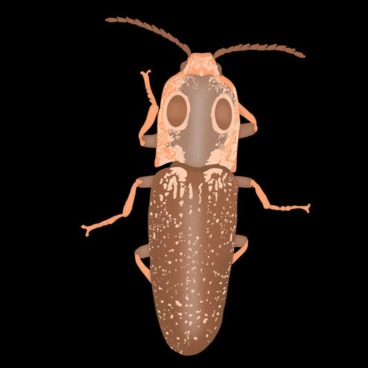 Golden Bug Print