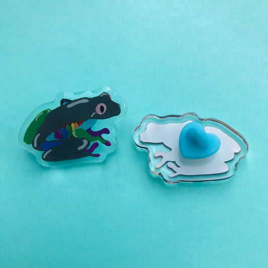 Color Spectrum Frog Acrylic Pin