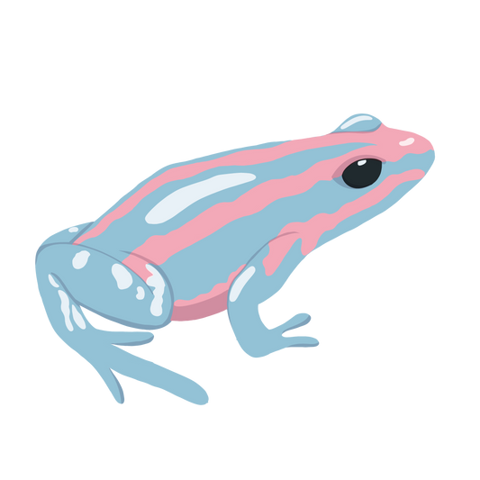 Cotton Cany Frog Acrylic Pin