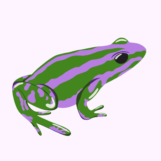 Lavender Field Frog Print