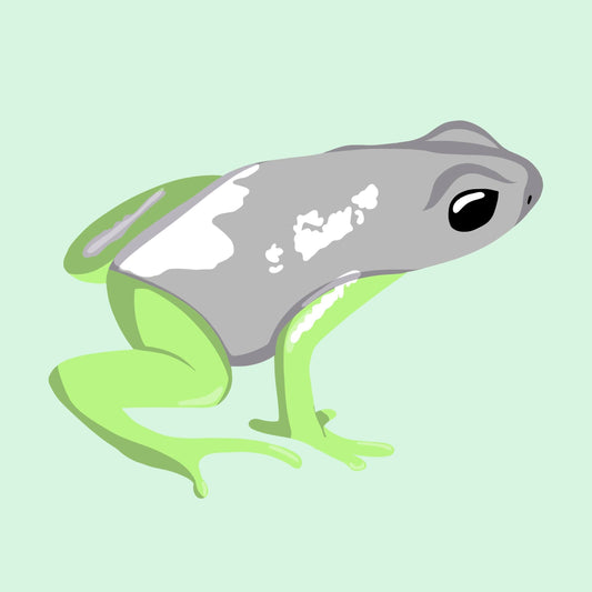 Moss Agate Frog Print